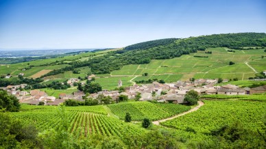 mercure-article-bourgogne-la-route-des-vins-du-maconnais-beaujolais-2500px